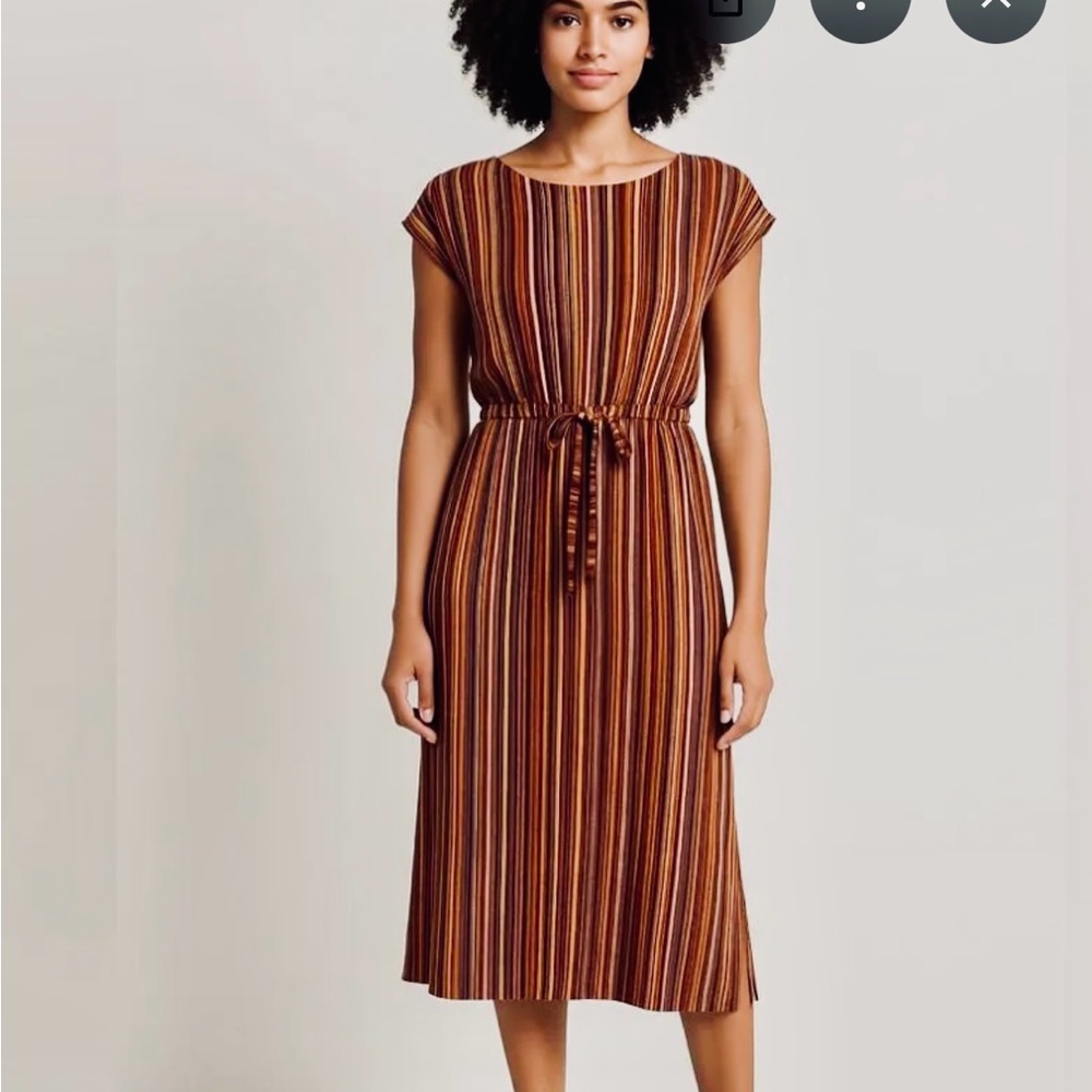 Maggy London Multicolor Striped Midi Dress